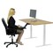 Uncaged Ergonomics RiseUpElectricStandingDesk48X30"BambooDesktopSitStandOffice, RUwb48 RUWB48 - alternate 7